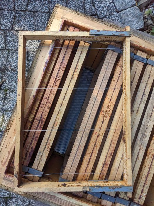 Trzy ule wielkopolskie