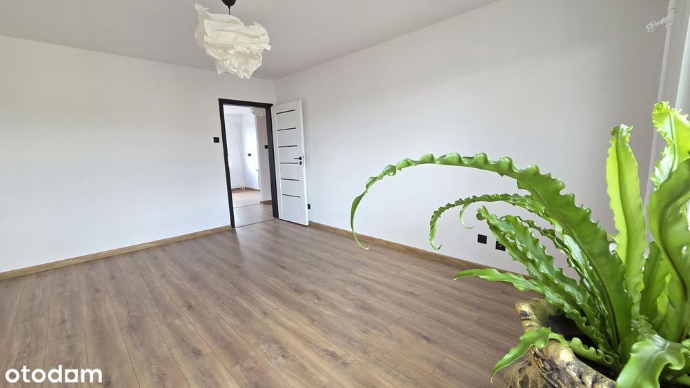 Super lokalizacja po remoncie Rządz 48m2 Nowa cena