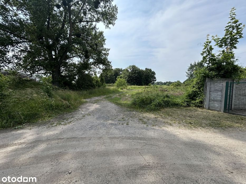 Działka usługowa Przecław Gmina Kołbaskowo - Widok 3