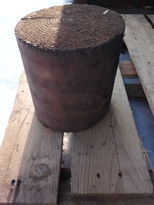 Drewo do wędzenia olcha 10kg