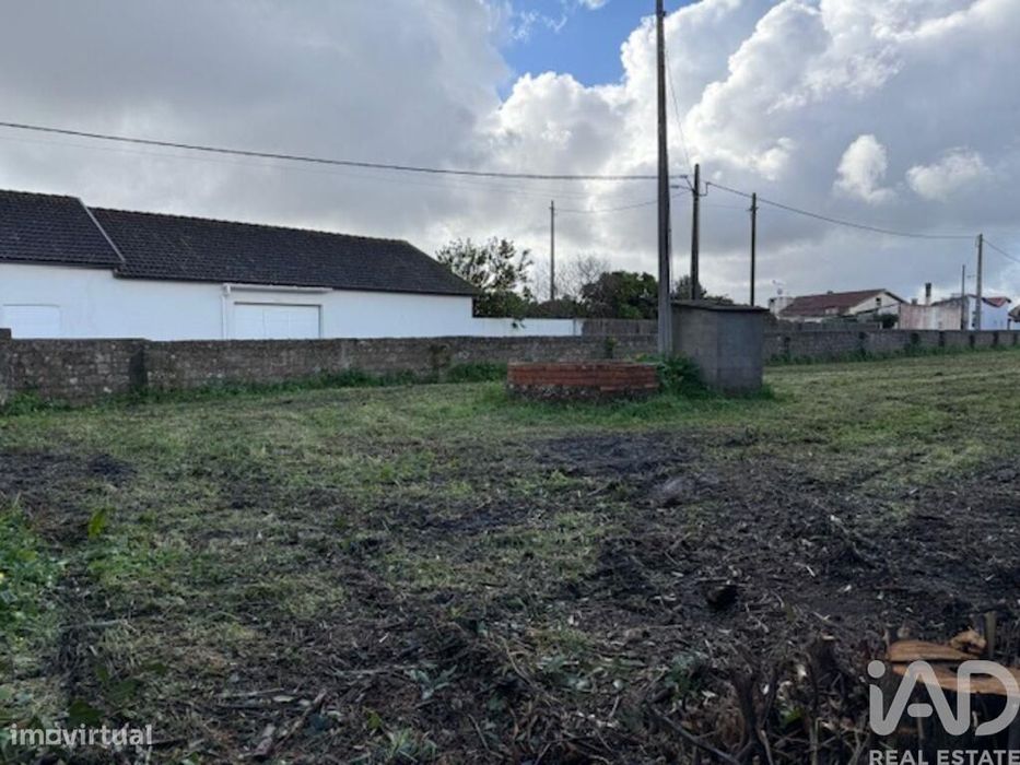 Terreno em Monte Real e Carvide