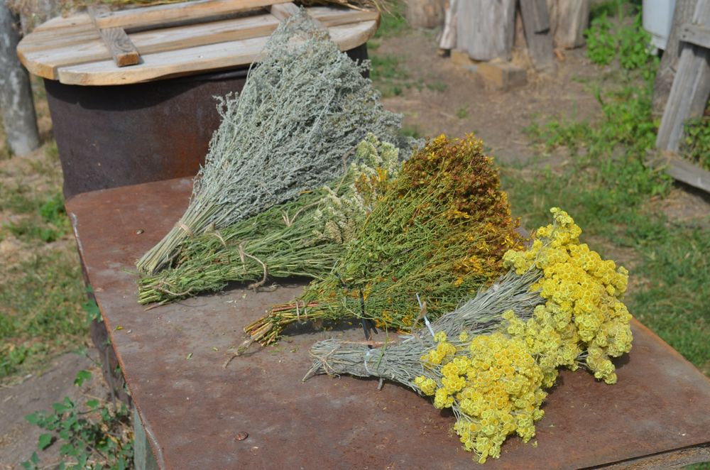 Віники для лазні та сауни березовий дубовий евкаліпт ялівцевий