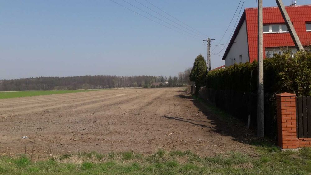 karczowanie, mulczer, mulczowanie, wycinka, koszenie, frezowanie