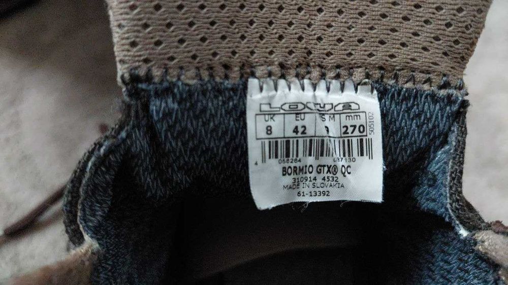 Чоловічі черевики LOWA Bormio GTX QC