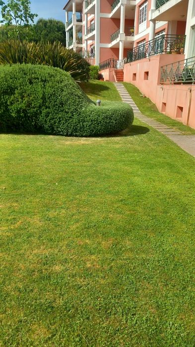 Limpeza de terrenos ,construção e manutenção de jardins