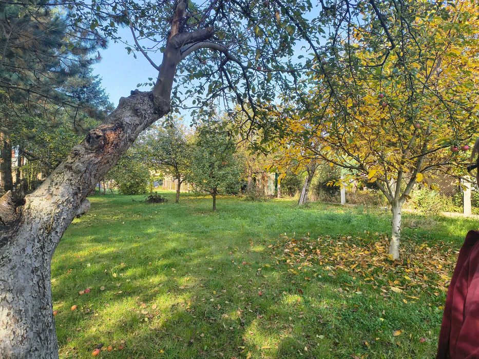 Działka budowlana uzbrojona ( prąd,woda ) - Widok 4