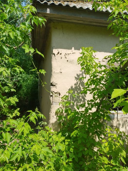 Продам дом с земельным участком