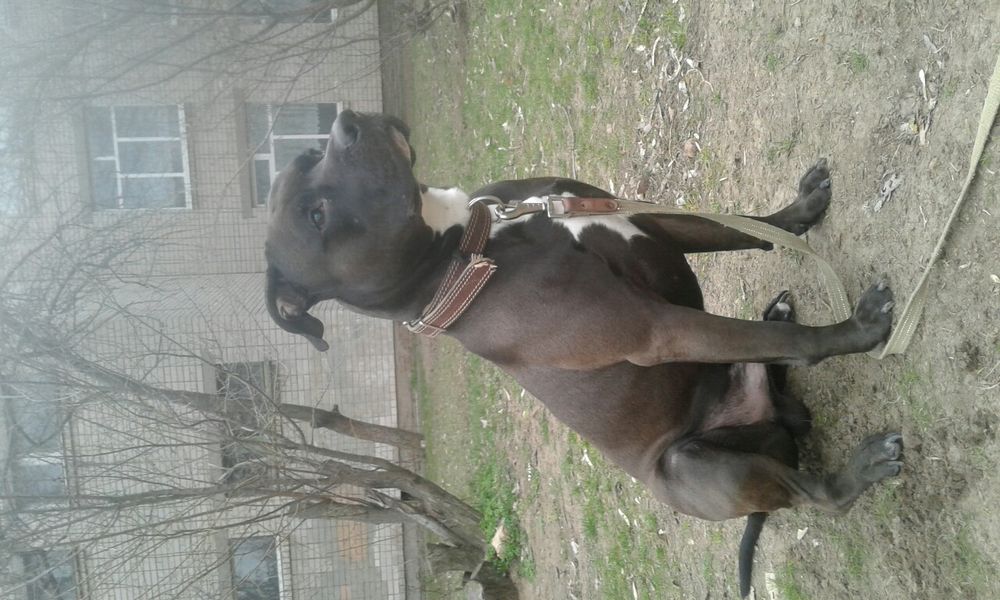 Безкоштовно