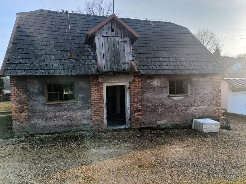 Oddam za darmo bez gruntu