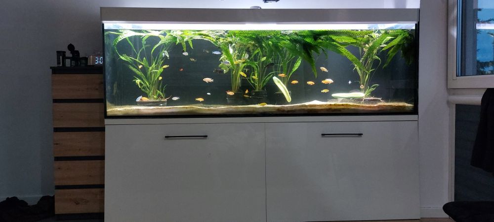 Akwarium full optiwhyte 220x70x55 plus oświetlenie i stelaż metalowy