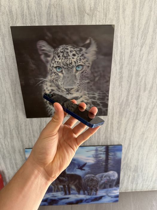 Iphone 12 mini 92% blue
