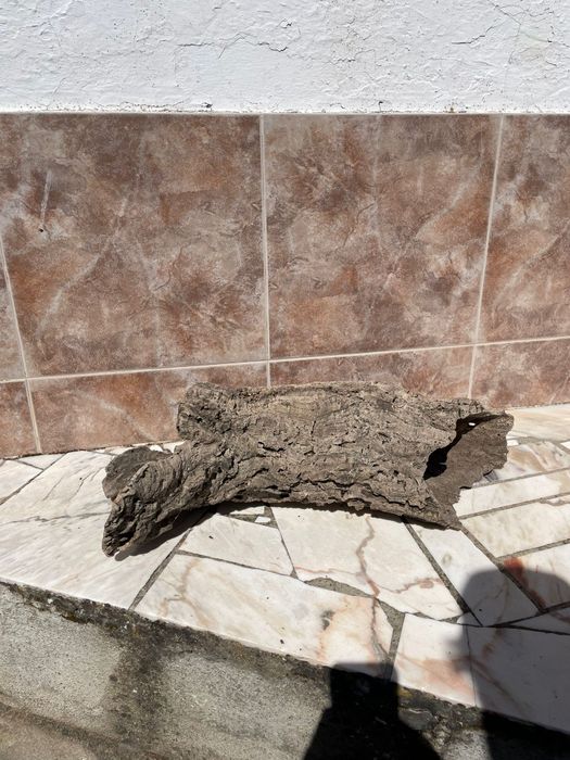 Cortiça para Terrário/Aquário - Mais informações dm