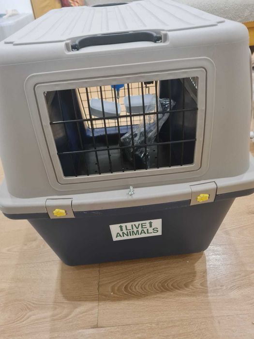 Kennel Dogfly No 5 Novo