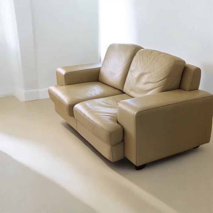 Sofás , pele verdadeira