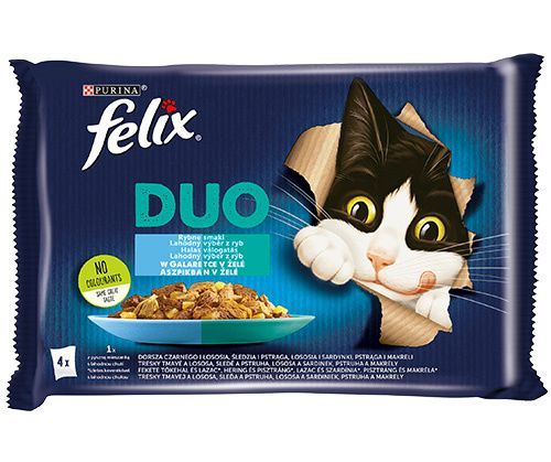 Karma Dla Kota Felix Duo Rybne Smaki W Galaretce Puszki 4x85g Wysokiej Jakości