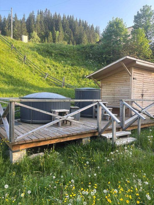 Продаж котеджу в Карпатах_N