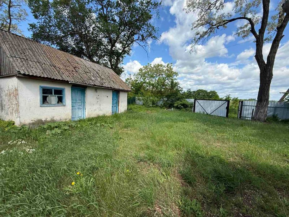 Продам будинок 42,2 кв.м. та ділянка 10 соток, с. Біляки (23000у.е.)