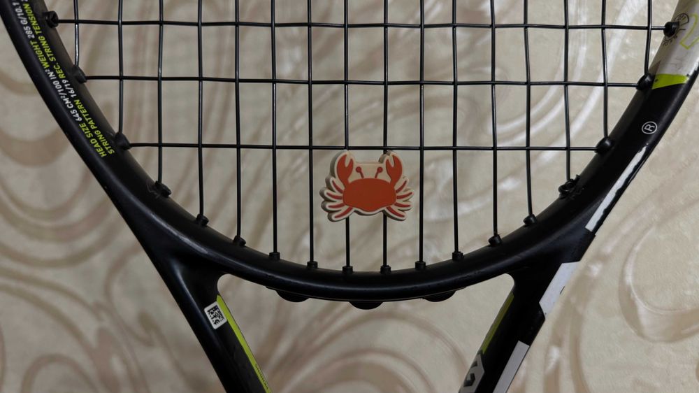 HEAD Ракетка для тенісу (для новачків) та сумка