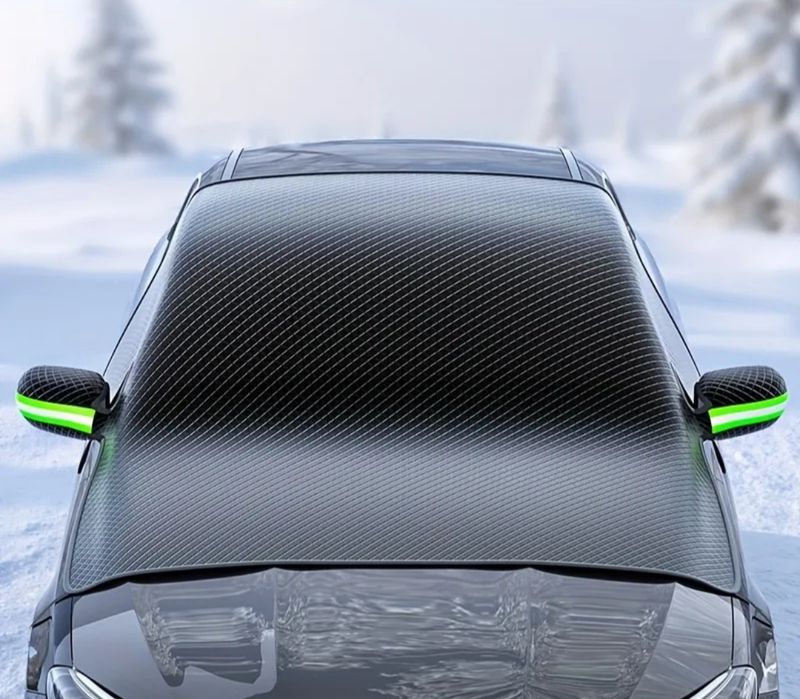 Захист від снігу