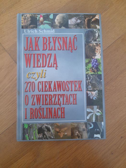 Jak błysnąć wiedzą