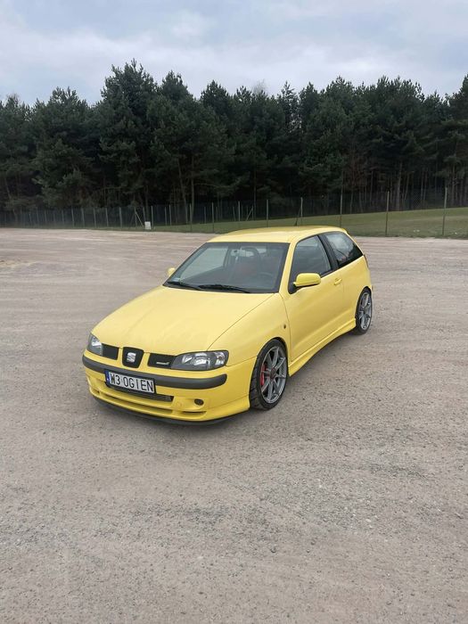 Seat Ibiza Cupra 300+