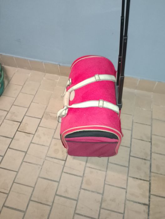 Transportadora de animais domésticos