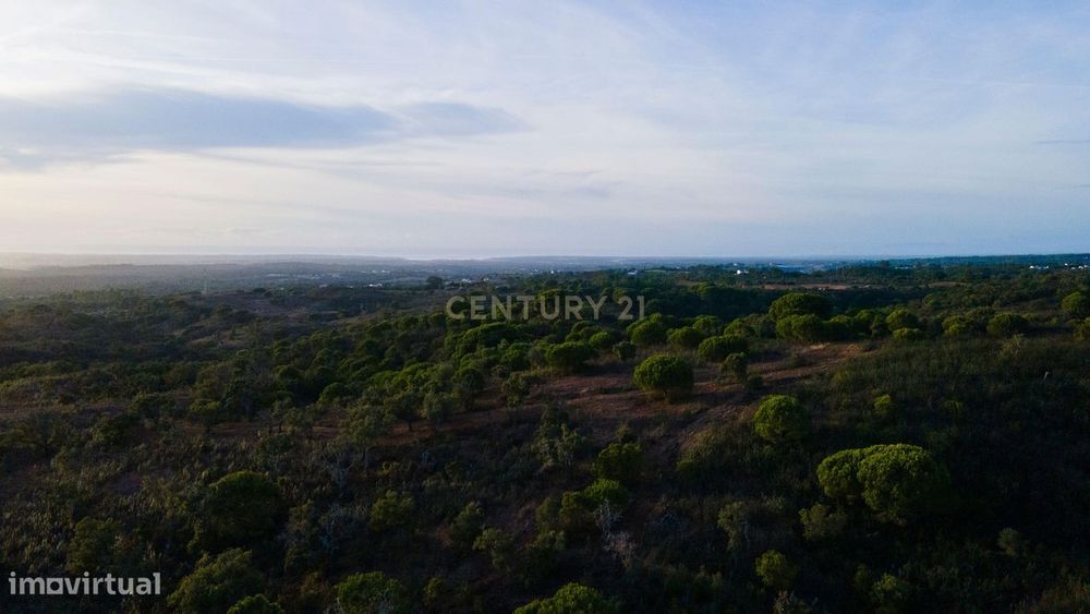 Terreno único com vista mar e elevado potencial para Hotel Rural na Co
