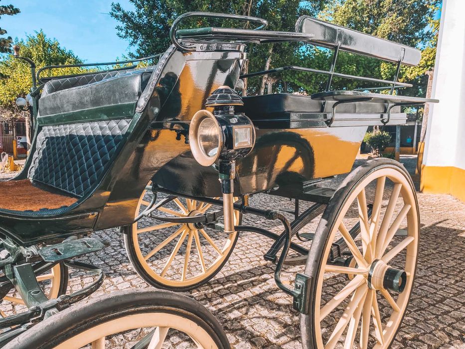 Charrete de cavalos - Break