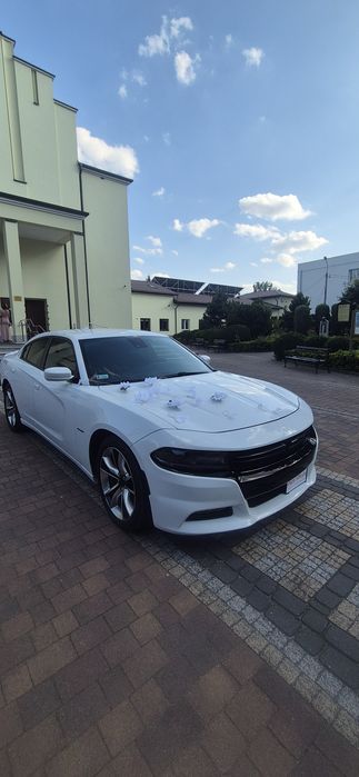Auto do ślubu. Zawiozę do ślubu Dodge Charger v8