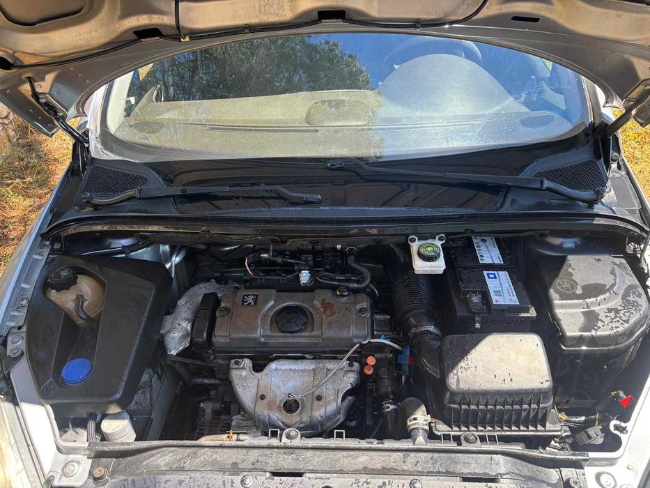 Pegeout 307 gasolina