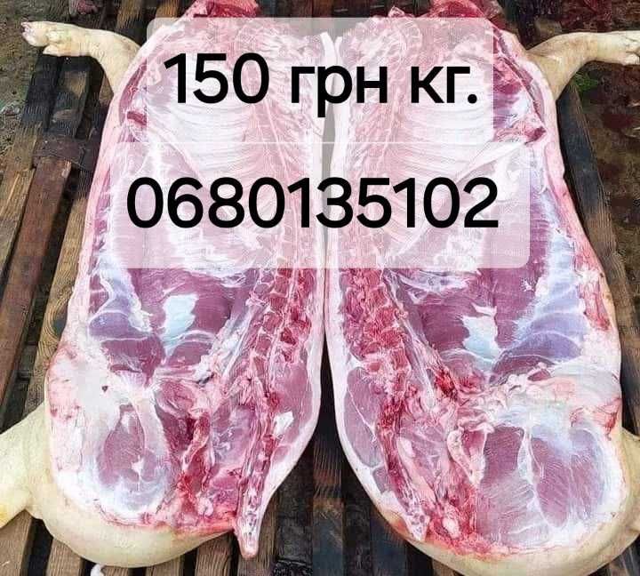 Свинина тушкою, напівтушка,четвертина