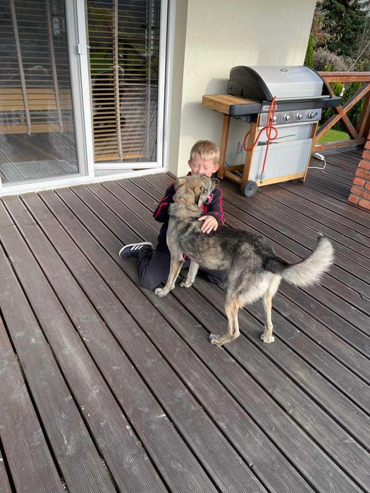 Uroczy Kofik kocha człowieka i szuka idealnego dla siebie!