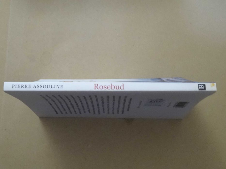 Rosebud de Pierre Assouline