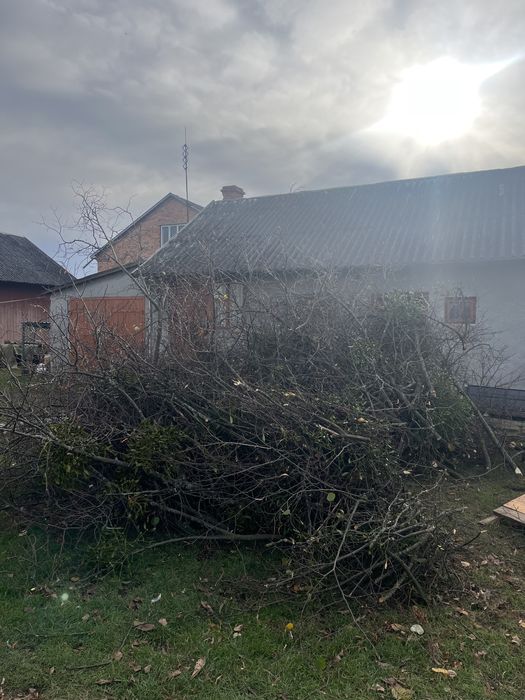 Подрібнення гілок, вивіз гілок, зрізати дерево, зрізання дерев