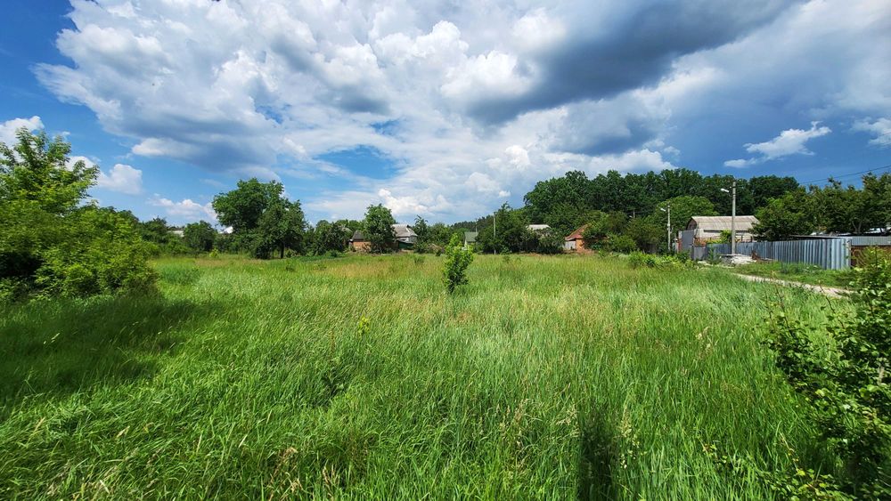Продаж ділянки поруч із сосновим лісом