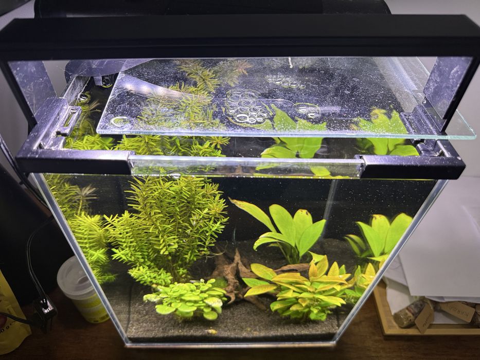 Oświetlenie akwarium 25 cm led biały