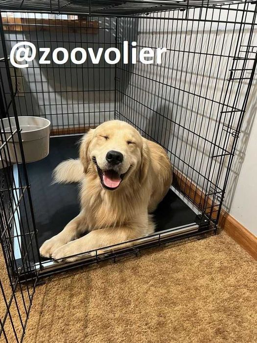 Клітка для собак та кішок S-XXL переноска манеж домик будка для собак