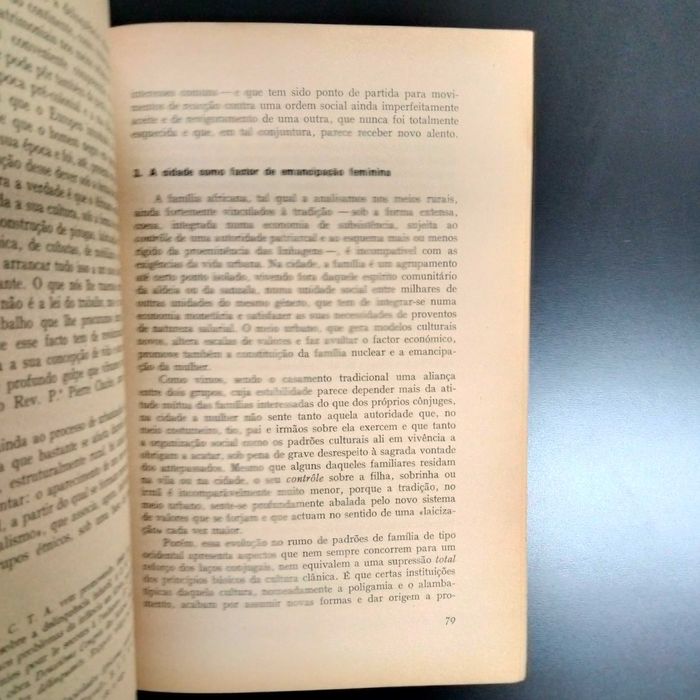 A Mulher Africana - J. J. Soares Fernandes