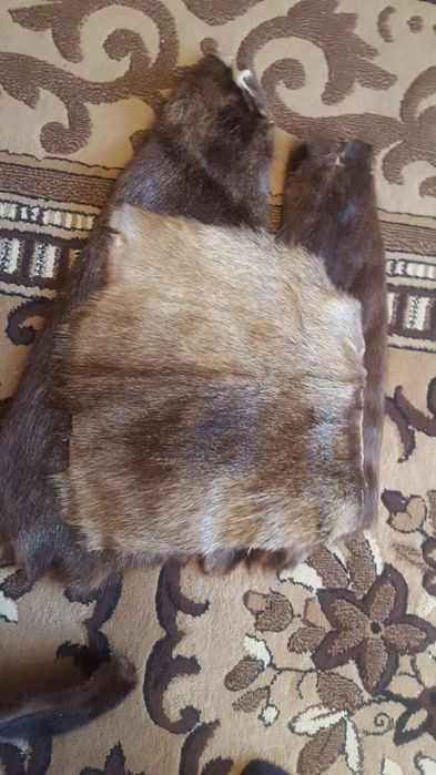 Шкурки нутрии, новые