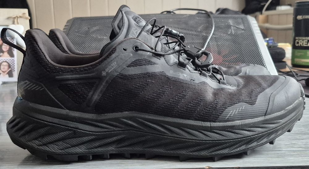 Кросівки Lowa Fortux GTX