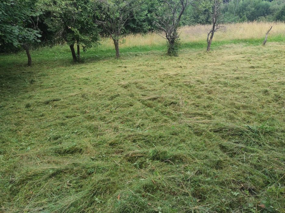 Koszenie trawy ,wykaszanie ,wertykulacja,utrzymanie posesji.