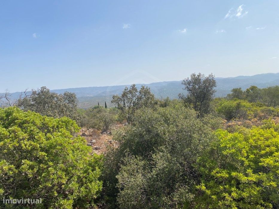 Lote de Terreno Rústico no Serro dos Passarinhos, Loulé, Algarve