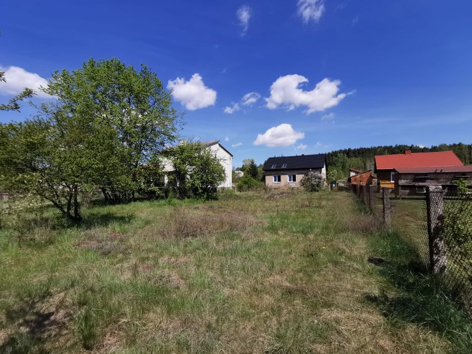 Zdjęcie 5