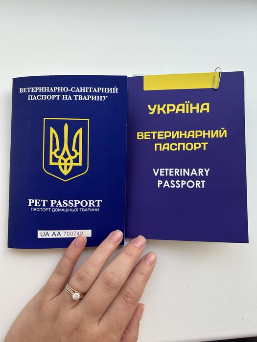 Клубочки малесенькі