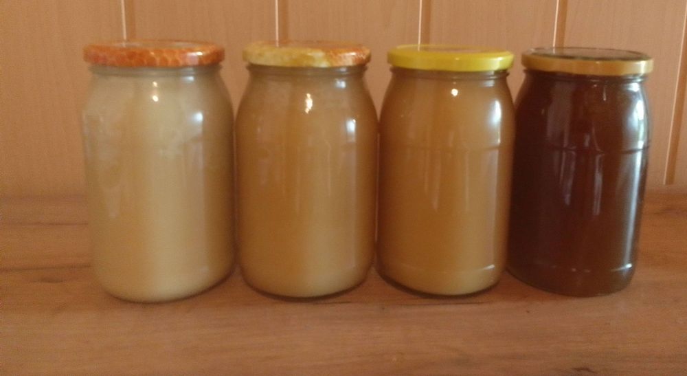 Miód z własnej pasieki