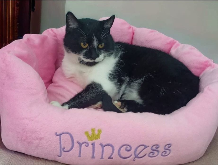 Czy ktoś mnie pokocha?