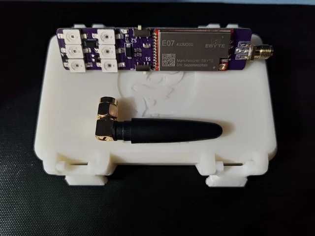 Flipper Zero Capsule/Board