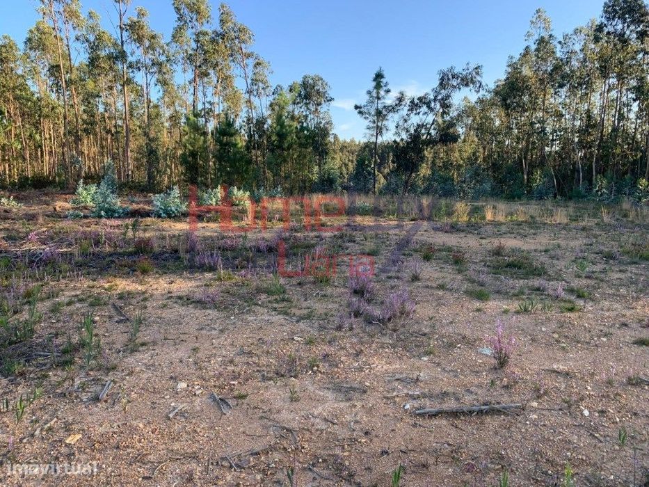 Lote na Urbanização Quinta da Loba — Trofa, Segadães E Lamas Do Vouga, Aveiro