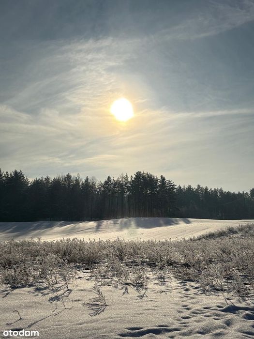 Sprzedam działkę 2050 m² z dostępem do mediów