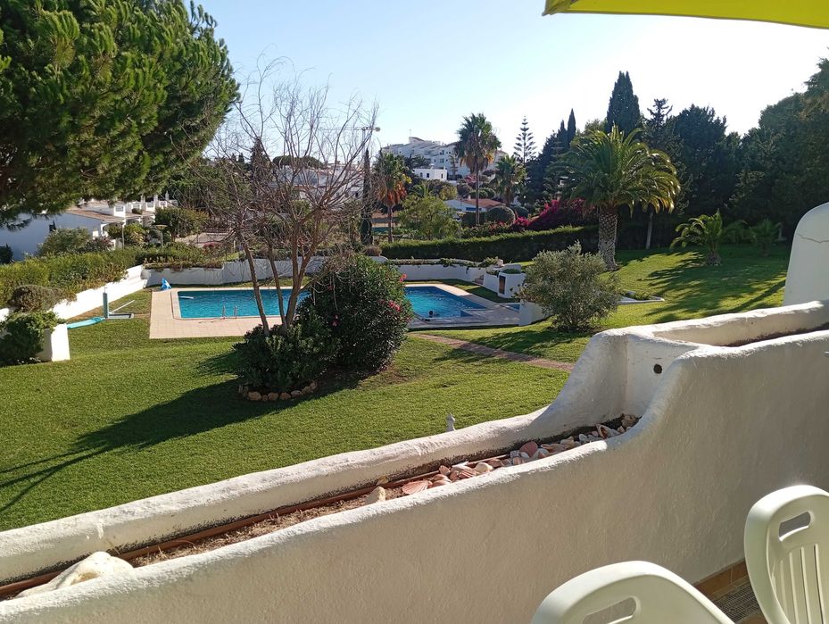 T1+1 Armação de Pera